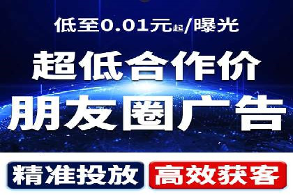 解析某某SEM服务公司的广告投放策略与效果评估